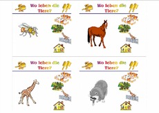 HC-Tiere leben B 07.pdf